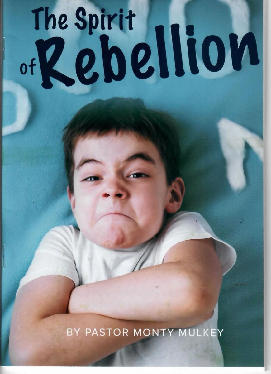 The Spirit of Rebellion by Monty Mulkey